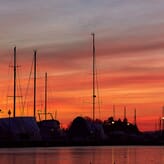 Nunc nec sodales tortor, mollis luctus