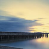 Eleifend sollicitudin sed aliquam felis